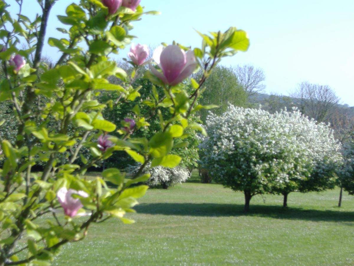 Gites Du Manoir De Goandour 卡松 外观 照片